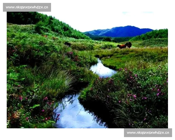 哀牢山自然风光与民族文化交融的独特魅力探索之旅